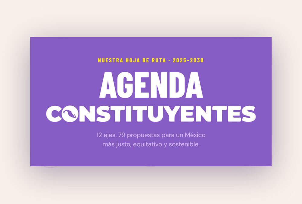 Agenda Contituyentes
