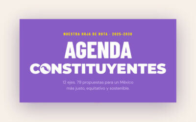 Agenda Contituyentes